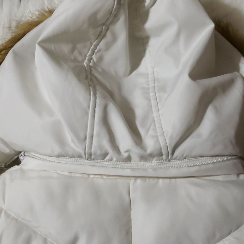 Jacket - Picture 4 of 4